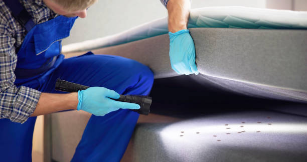 Best Wasp Removal Services  in Altoona, PA